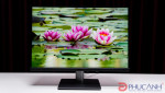 ASUS ProArt PA248QFV – Màn hình chuẩn màu dành cho dân sáng tạo nội dung