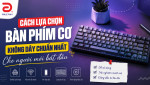 Cách Lựa Chọn Bàn Phím Cơ Không Dây Chuẩn Nhất Cho Người Mới Bắt Đầu