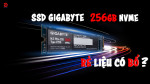 SSD GIGABYTE 256 GB RẺ LIỆU CÓ BỔ ???