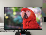 [Review] Màn hình đồ họa ngon giá rẻ | Asus VA24DQLB 