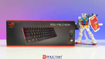 [Review] Asus ROG Falchion | Bàn phím mini switch Cherry đèn RGB cực đẹp mắt