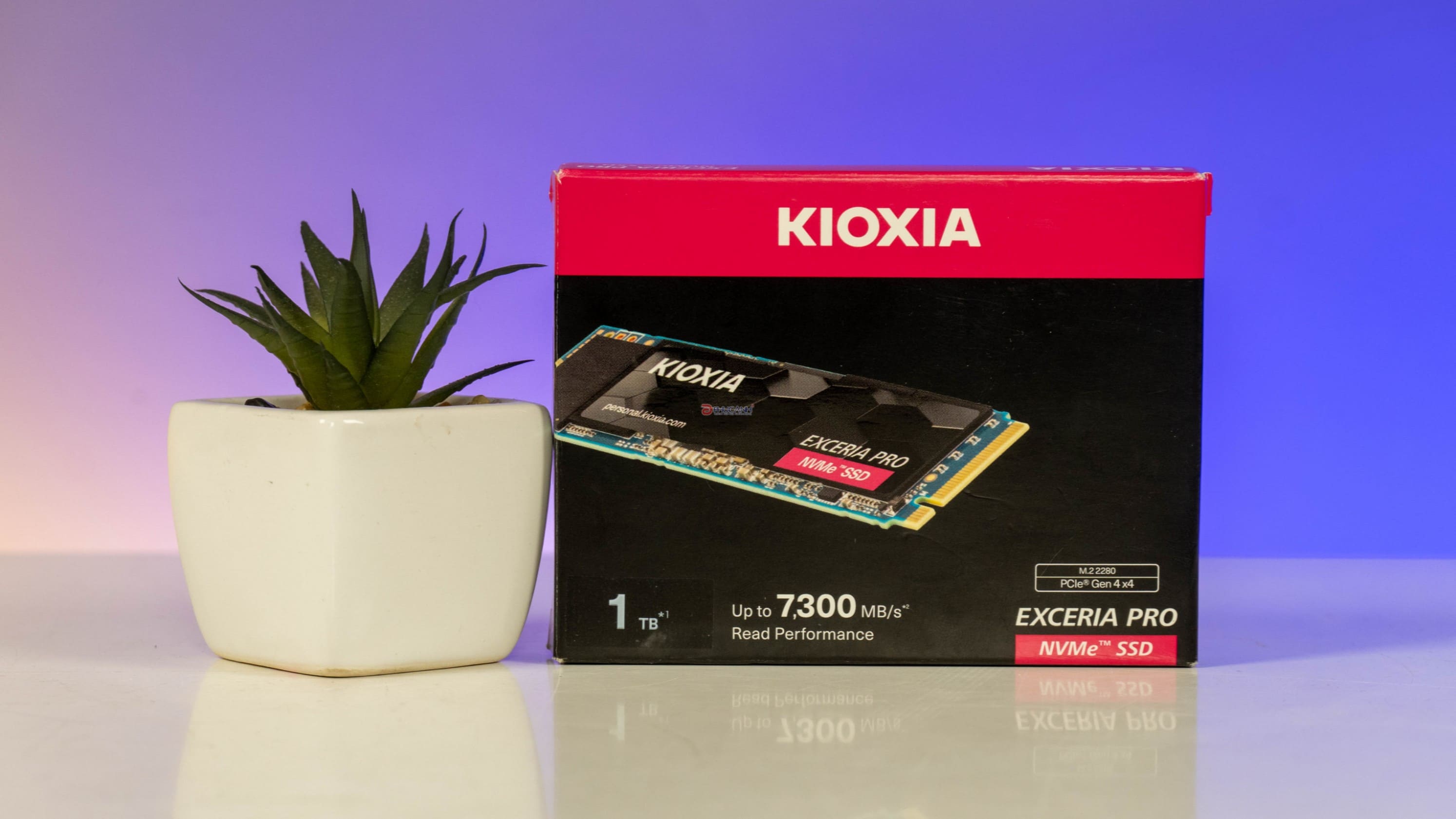 Đánh giá SSD KIOXIA EXCERIA PRO - Khẳng định sức mạnh công nghệ Nhật Bản