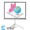 Màn chiếu chân EVGA T80G (113Inch/ 2m03 x 2m03)
