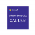 Phần mềm Microsoft Windows Server 2022 - 1 User CAL 