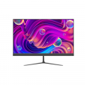 Màn hình Hikvision DS-D5024F2-BP2 (23.8Inch/ Full HD/ 100HZ/ 250cd/m2/ IPS)
