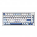Bàn phím cơ AKKO 5075 V3 IceFlow 