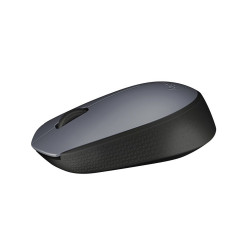 Chuột không dây Logitech M171 (Quang/ 1000Dpi)