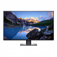 Màn hình Dell UltraSharp U4320Q (Màn đồ họa/ 43Inch/ 4K (3840x2160)/ 5ms/ 60HZ/ 350cd/m2/ IPS)