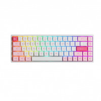 Bàn phím cơ AKKO 3068B Multi-modes Prunus Lannesiana Akko CS Jelly Purple switch