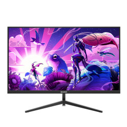 Màn hình E-Dra EGM27F100H (27Inch/ Full HD/ 1ms/ 100HZ/ 250cd/m2/ IPS)