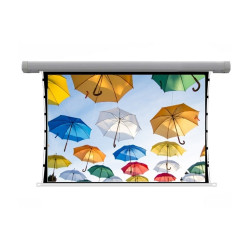 Màn chiếu điện Dalite Tab-Tension Tab135w (135Inch/ 2m74 x 2m06)