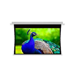 Màn chiếu điện Dalite Tab-Tension T150S (150Inch/ 3m32 x 1m87)