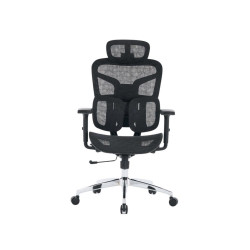 Ghế công thái học E-Dra EEC226 Black 