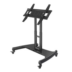 Giá treo Tivi di động Ergotek E1355 (32 – 55 Inch)
