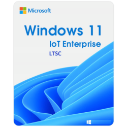 Phần mềm Microsoft Windows 11 IoT Enterprise LTSC 2024 (1 thiết bị/ Vĩnh viễn)