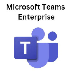 Dịch vụ trực tuyến Microsoft Teams Enterprise (1 User/ 12 tháng)
