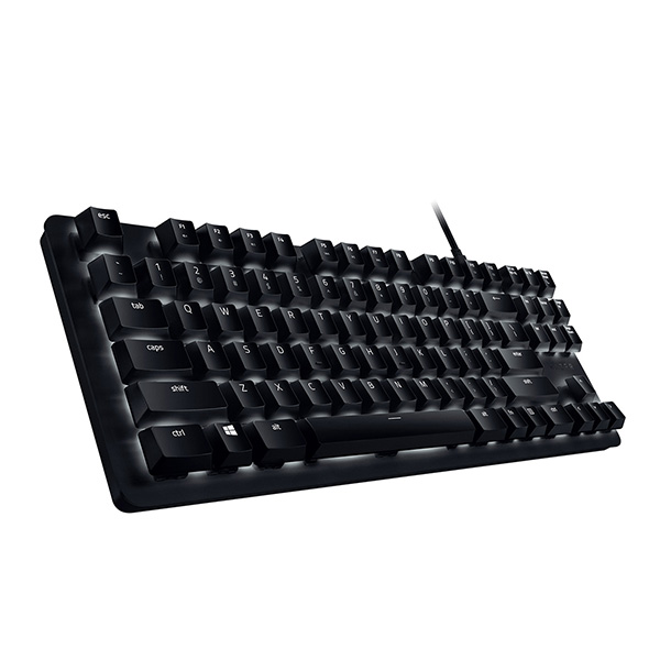 Razer BlackWidow Lite – Silent Mechanical Gaming Keyboard (Orange Switch)-RZ03-02640100-R3M1
