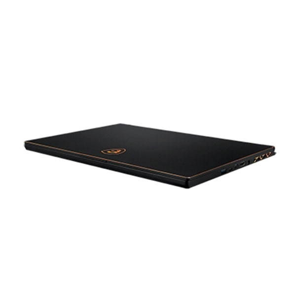 Laptop MSI Gaming GS65 Stealth 9SD 1409VN (i5-9300H/8GB/512GB SSD/15.6FHD, 144Hz/GTX1660 6GB/Win10/Black)