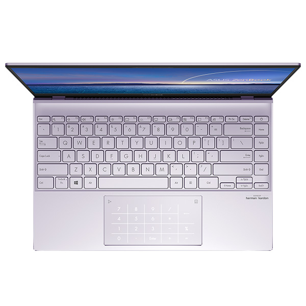 Laptop Asus Zenbook UX425EA-BM066T