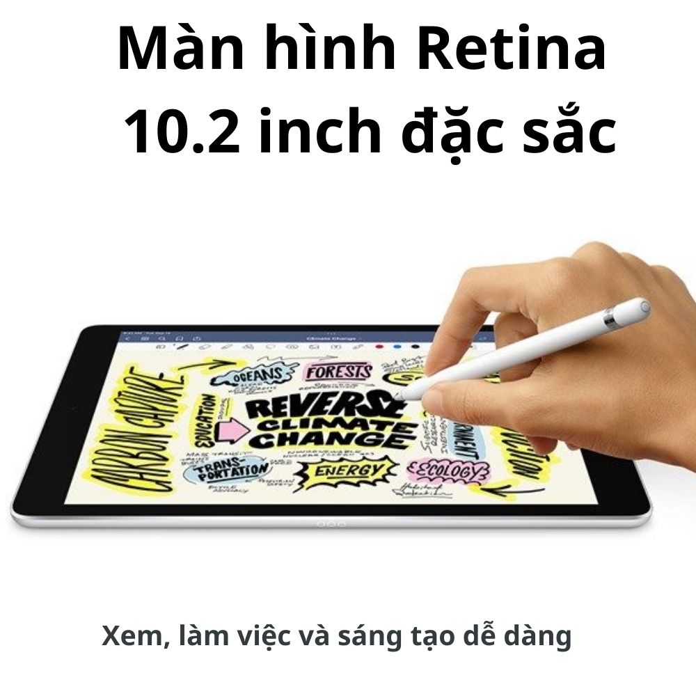 Máy tính bảng Apple IPad Gen 9 10.2 Cellular MK4H3ZA/A (256GB/ Silver)