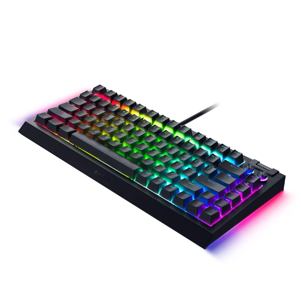 Bàn phím cơ Razer Blackwidow V4 75% Black Tactile (LED RGB/ Đen)