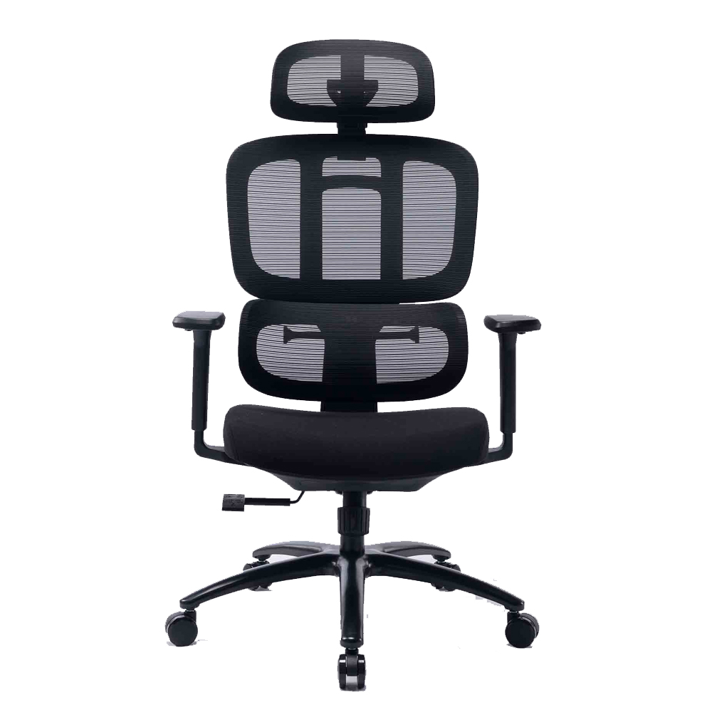 Ghế công thái học WARRIOR HERO SERIES - WEC509 Pro Black 