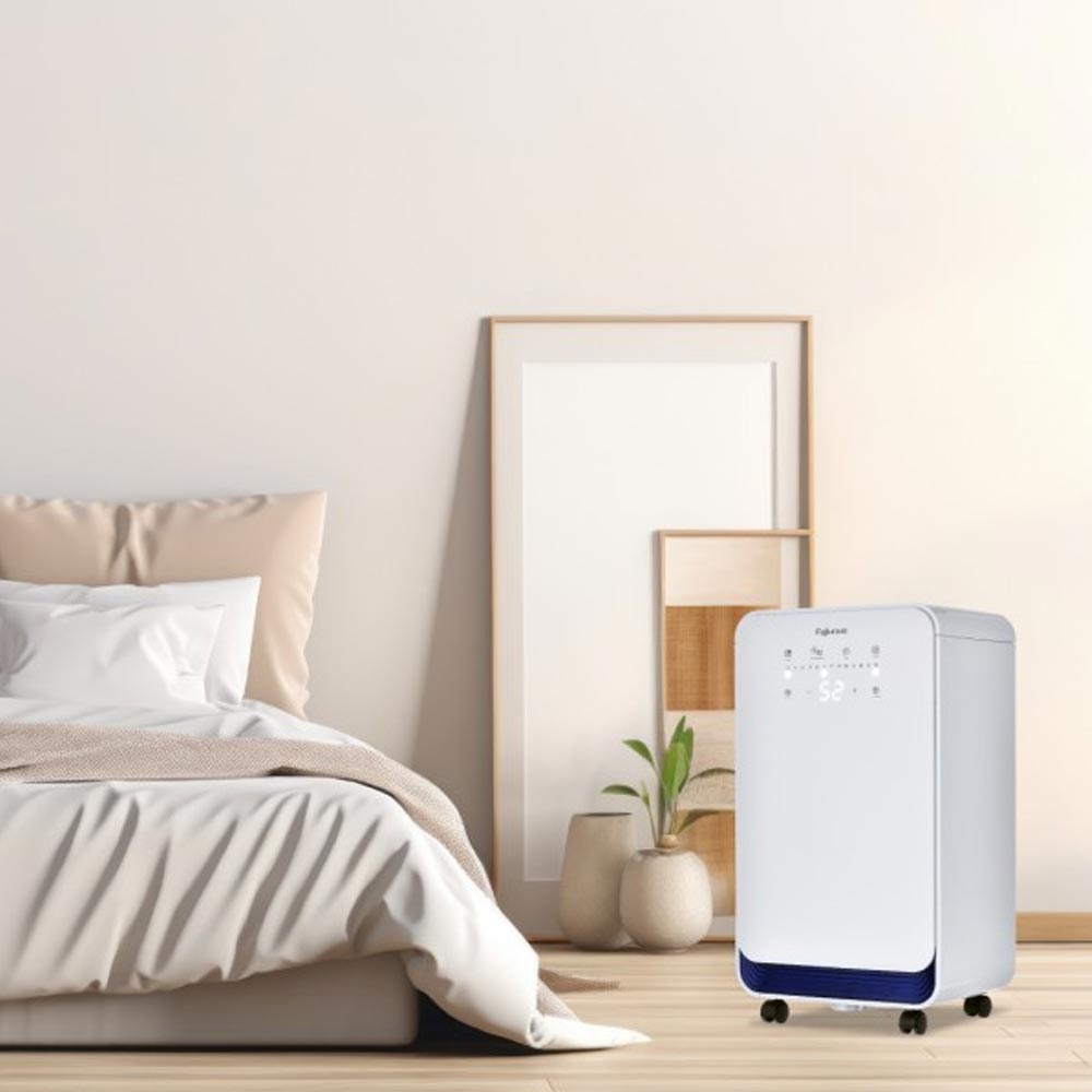 Máy hút ẩm dân dụng Fujihome DH10