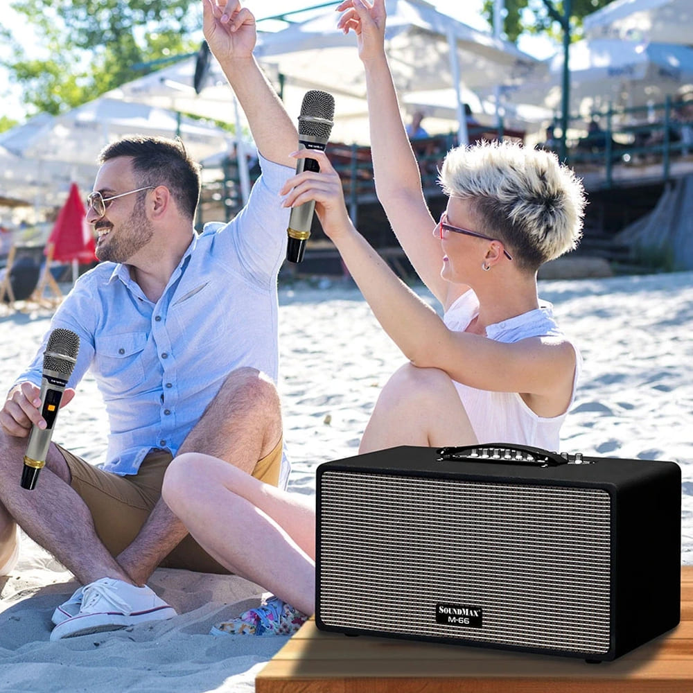 Loa kéo Soundmax M-66 (Kèm 2 micro)