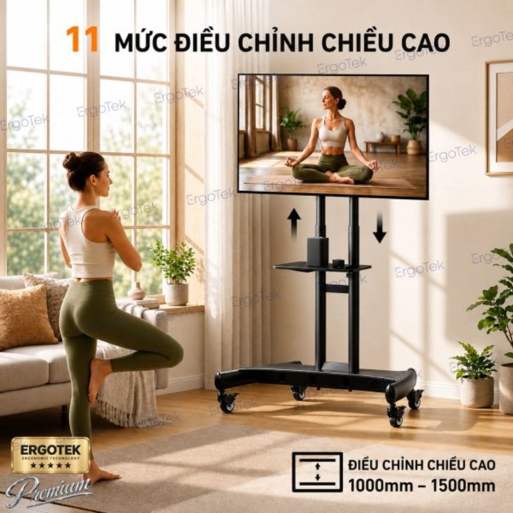 Giá treo Tivi di động Ergotek E2100 (32-79 inch) 