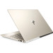 Laptop HP Envy 13-ah0027TU 4ME94PA (Gold)- FingerPrint