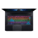 Laptop Acer Gaming Predator Triton 500 PT515-52-78PN NH.Q6XSV.001 (Core i7-10875H/32Gb/1Tb SSD/15.6''FHD-300Hz/RTX2070-8Gb/Win10/Black)