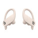 Tai nghe không dây Beats Powerbeats Pro Totally Wireless Earphones (Màu trắng ngà)