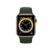 Đồng hồ thông minh Apple Watch Series 6 40mm (4G) Viền Thép Vàng  -Dây Cao Su Xanh