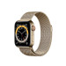 Đồng hồ thông minh Apple Watch Series 6 40mm (4G) Viền Thép Vàng  -Dây Thép