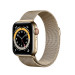 Đồng hồ thông minh Apple Watch Series 6 44mm (4G) Viền Thép Vàng  -Dây Thép