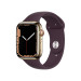 Apple Watch Series7 41mm 4G Viền Thép-Dây Cao Su Cherry