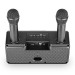 Loa không dây Bluetooth Microlab KTV100 (kèm 2 mic không dây)- Màu đen