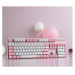 Bàn phím cơ Rapoo V500 Pro Pink White (Brown Switch/ PBT Doubleshot/ LED Trắng/ Hồng)