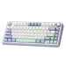 Bàn phím cơ Aula 3 MODE F75 ice green Tím nhạt+be+xanh lá Reaper switch 