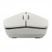 Chuột không dây Rapoo M100 Silent - Xám trắng (Bluetooth/Wireless)