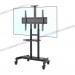 Giá treo Tivi di động Ergotek E2600 (55 – 100 Inch)