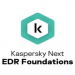 Phần mềm Diệt Virus Kaspersky Next EDR Foundations (1 thiết bị/ 36 tháng)