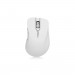 Chuột không dây Thunderobot ML101